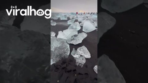 Iceland's Diamond Beach Has Black Sand And Beached Icebergs || ViralHog