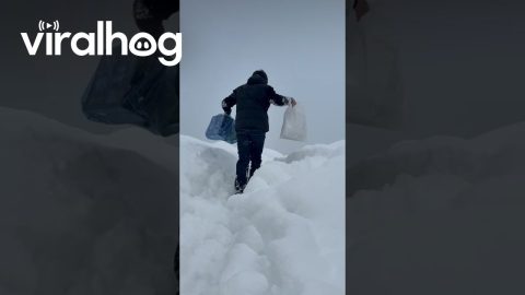 My Son Fell in the Snow || ViralHog