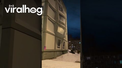 Graffiti Creates Convex Illusion || ViralHog