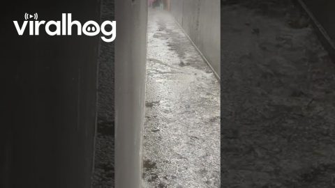 Hail Storm in Sao Paulo || ViralHog