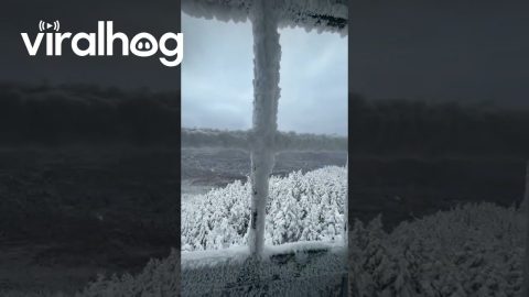 Frozen Fire Tower || ViralHog