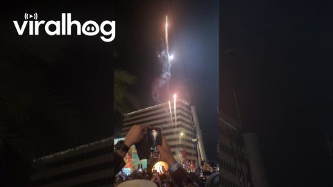 New Year’s Eve Taco Drop Celebration in Tucson, Arizona || ViralHog