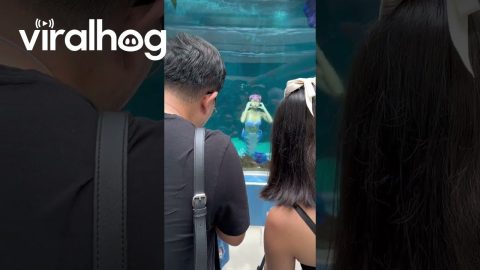 Mermaid Anica Forgot She Needs to Breathe || ViralHog