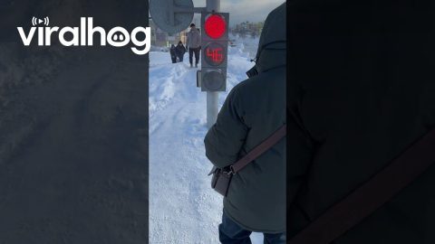 Snow Piled High in Russia || ViralHog
