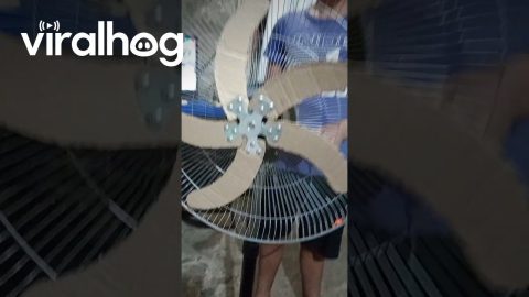 Women Gets Creative in Fixing Her Fan || ViralHog