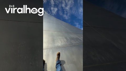 Arch Slide || ViralHog