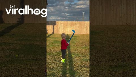 Tiny Golfer Sinks Accidental Fence-Bounce Trick Shot || ViralHog