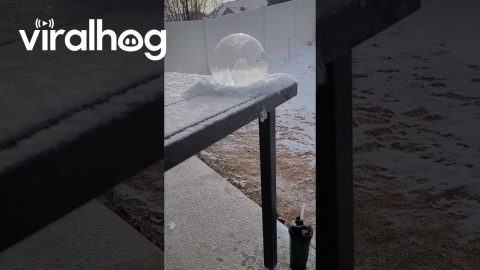 Instant Crystal Bubbles on a Cold Morning || ViralHog