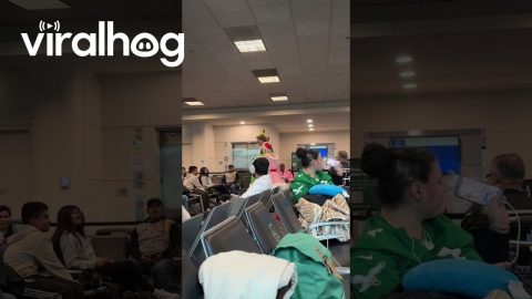 Buddy the Elf Spotted at Chicago Midway Airport During the Holidays || ViralHog