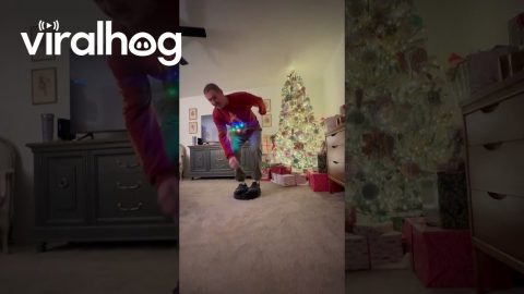 Holiday Version of Robot Vacuum Kickflip || ViralHog