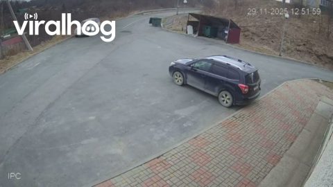 Trash Bin Slides Unexpectedly After Magnitude 4.6 Quake in Korsakov, Russia || ViralHog