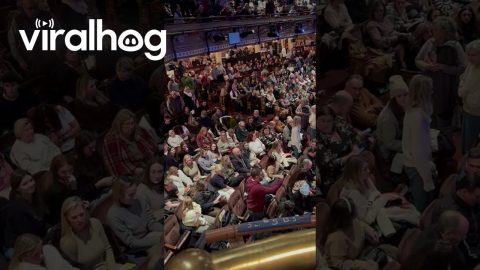 Guy Goes Ballistic at Broadway Show || ViralHog