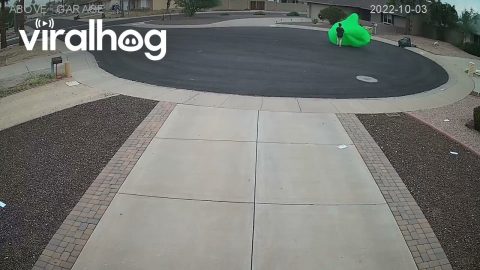 Oogie Boogie Got Away || ViralHog