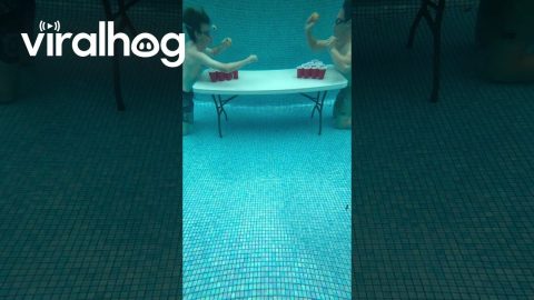 Buoyancy Getting in the Way || ViralHog