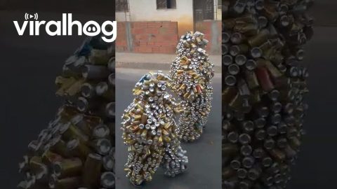 Soda Can Men Walk Among Us || ViralHog