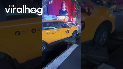 Taxi Falls Through Service Grate in Times Square, New York || ViralHog