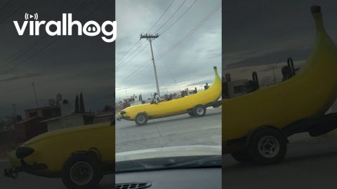 Banana-Mobile in Mexico || ViralHog