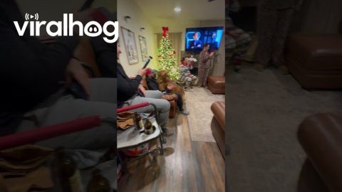 Golden Retriever Scared of Grinch || ViralHog