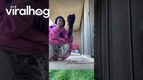 I Accidentally Froze My Wig || ViralHog