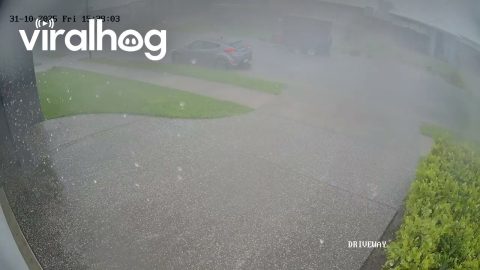 Runaway Trailer Sunshine Coast Storm || ViralHog