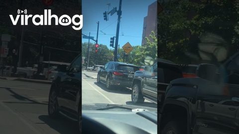 Dumb Street Sign || ViralHog
