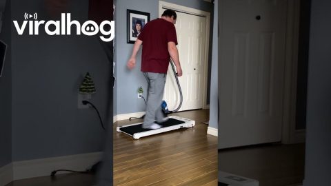 Guy Falls Off Walking Pad || ViralHog