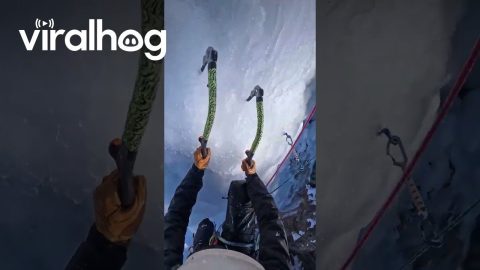 Ice Climbing ASMR || ViralHog