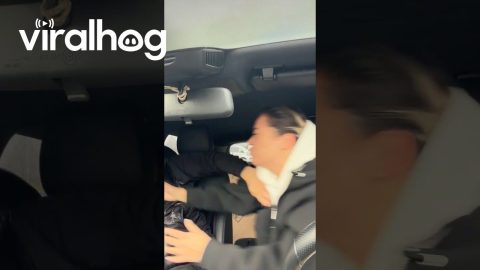 Wife Fakes Kiss To Steal Huge Bite Of Sandwich || ViralHog