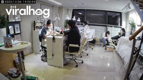 Cat Unexpectedly Falls From Ceiling Inside Nail Salon || ViralHog
