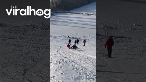 Dog Slides on His Own Sled || ViralHog