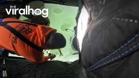 Fish Makes A Break For It During Ice Fishing Trip || ViralHog