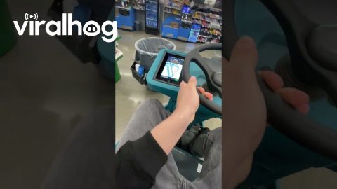 Tokyo Drifting Around Walmart || ViralHog