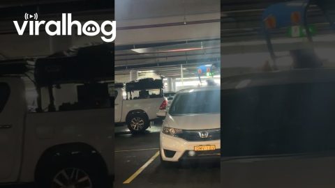 Driver Ignores Height Restriction || ViralHog