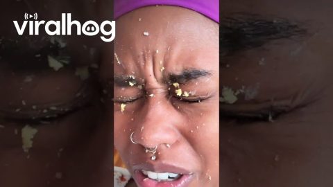 Egg-Splosion || ViralHog