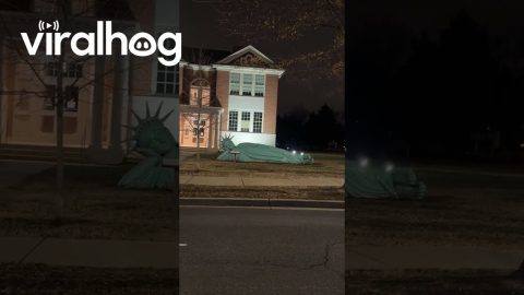 Sleeping Statue of Liberty || ViralHog