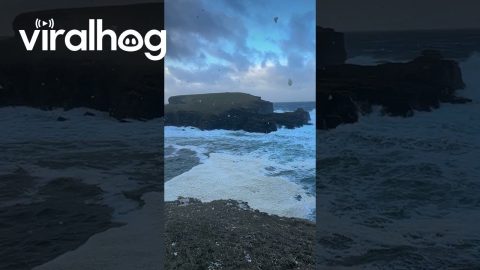 Sea Foam Lingers Along Cliffs After Storm in Orkney, Scotland || ViralHog