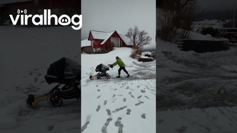 Baby Stroller Snow Shovel || ViralHog