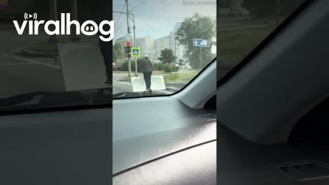 Moving a Bathtub With a Scooter || ViralHog