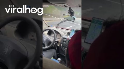 Human-Powered Windshield Wipers || ViralHog