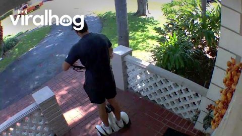 Solicitor Sees No Soliciting Sign || ViralHog