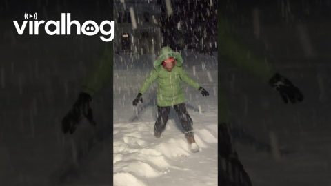 Jamaican Mom Sees Snow for the First Time || ViralHog