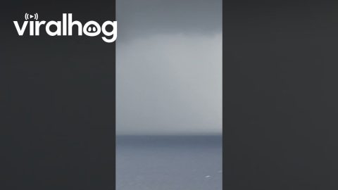 Waterspout Tornado Spotted From Cruise Ship || ViralHog