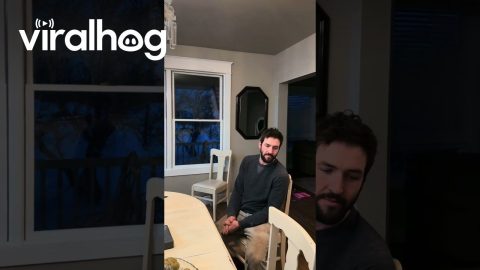 My Ex-Amish Husband Appreciates Modern Conveniences || ViralHog