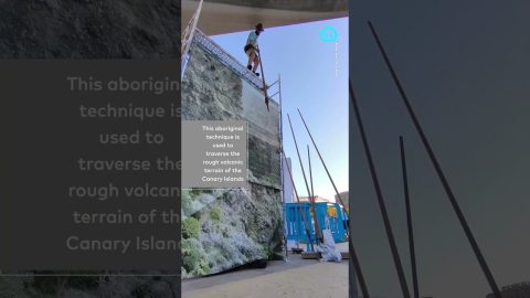 Man Demonstrates the "Shepherd's Leap" || ViralHog Shorts