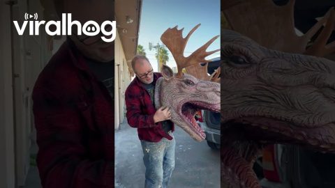 Creature Creator Shows Off His Latest Bizarre Monster || ViralHog