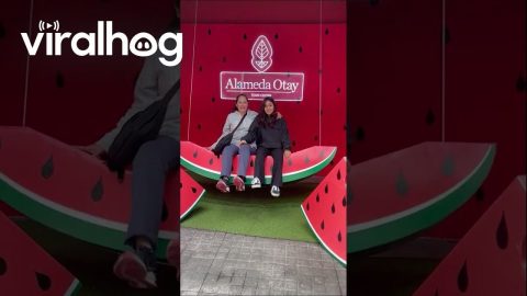 Mother Daughter Watermelon Swing Mishap || ViralHog