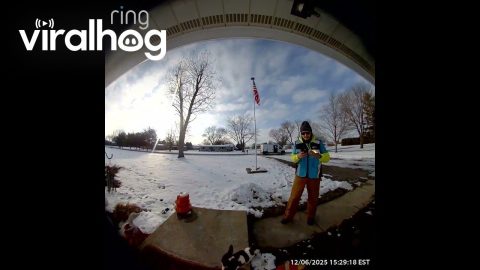 My Cat Keeps Trying to Leave With the Delivery Driver || ViralHog