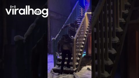 Epic Snowy Staircase Slip || ViralHog