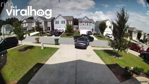Neighbors Back Into One Another || ViralHog
