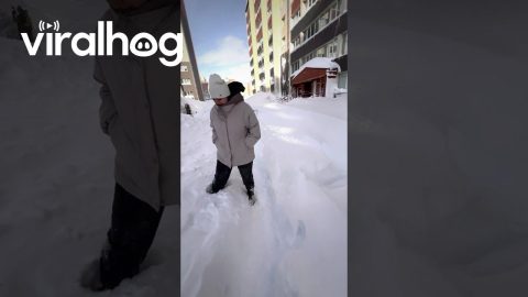 Kamchatka Courtyard After Snow Apocalypse || ViralHog